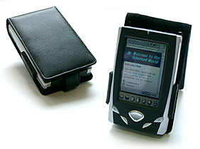     Casio BE-300 -  Flip case