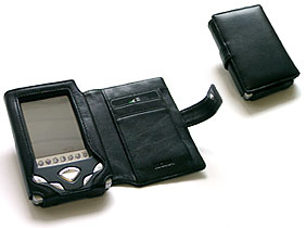     Casio BE-300 -  Slim case